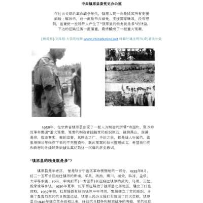 饥荒与县城:大跃进期间的镇原冤案